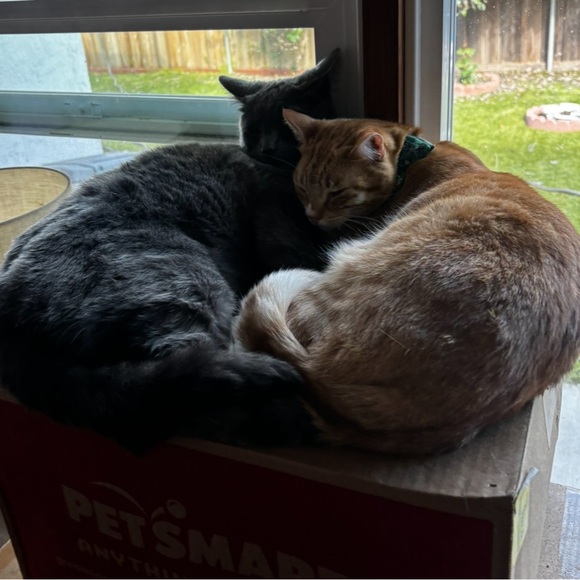 Ash 🩶 - Picture 6 of 7